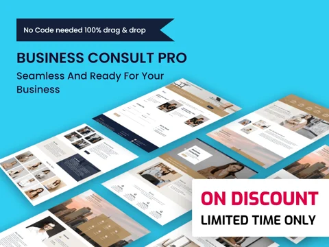 Business Consult Pro